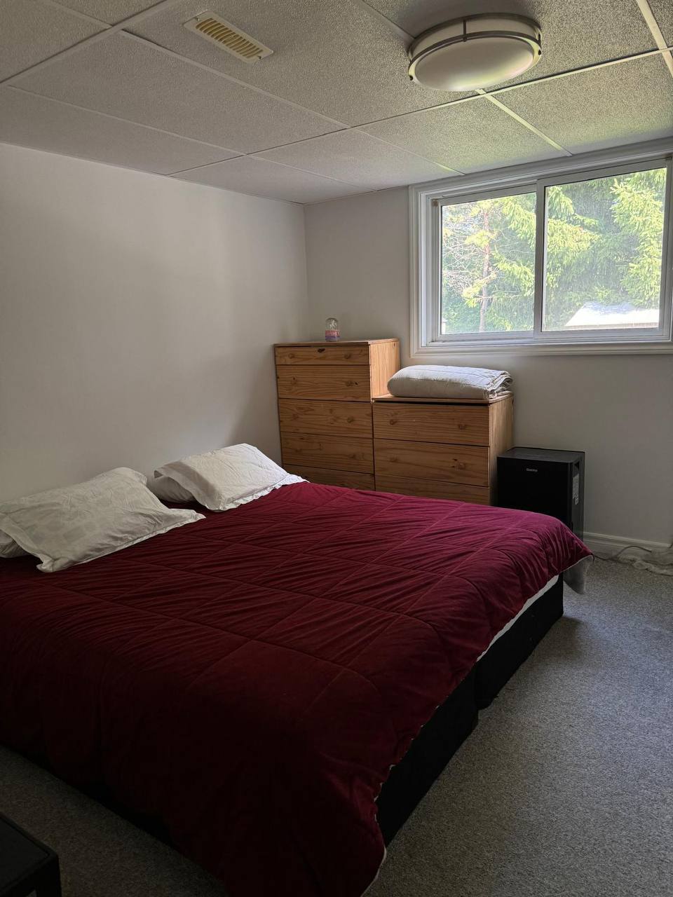 اجاره بیسمنت مبله و تمیز با ورودی کاملاً مجزا