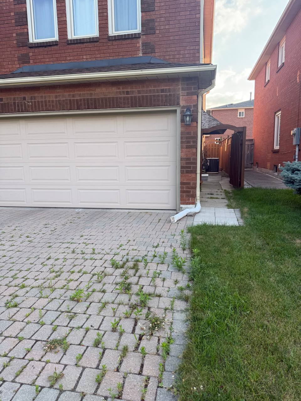 اجاره بیسمنت واک ات در منطقه نیو مارکت نزدیک یانگ