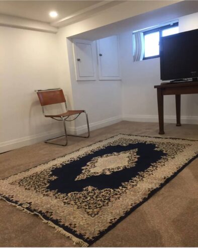 یک واحد بیسمنت آپارتمان ۱ خوابه