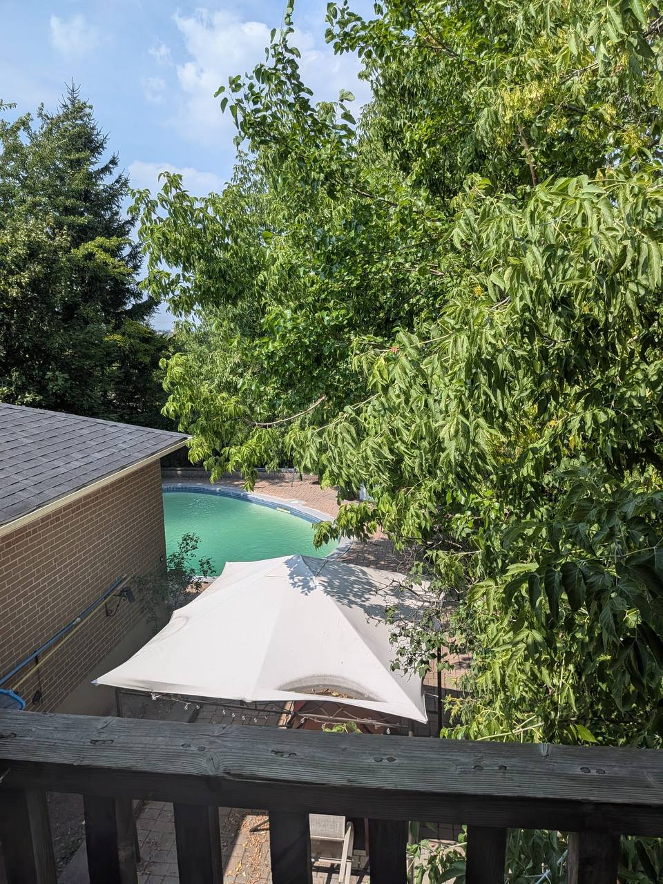 � اتاق خصوصی برای اجاره – موقعیت عالی (یانگ و استیلز)