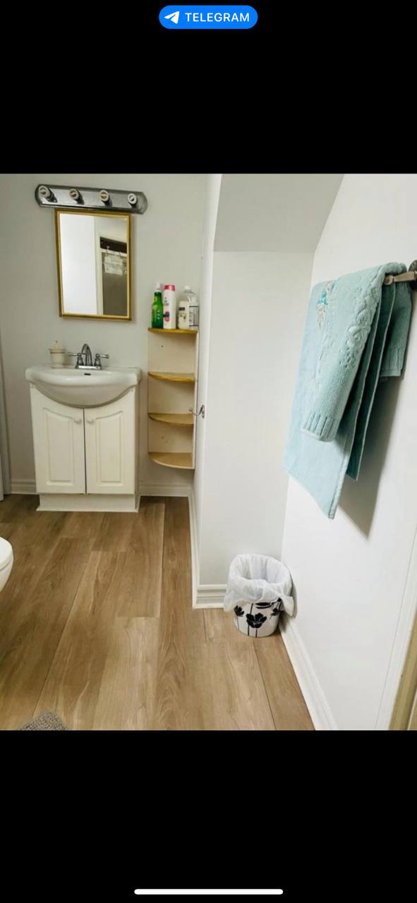 #اجاره #نورث_یورک #بچلر