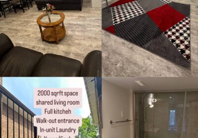 IMG_20251128_221214_831