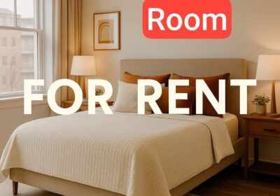 IMG_20260226_124524_237